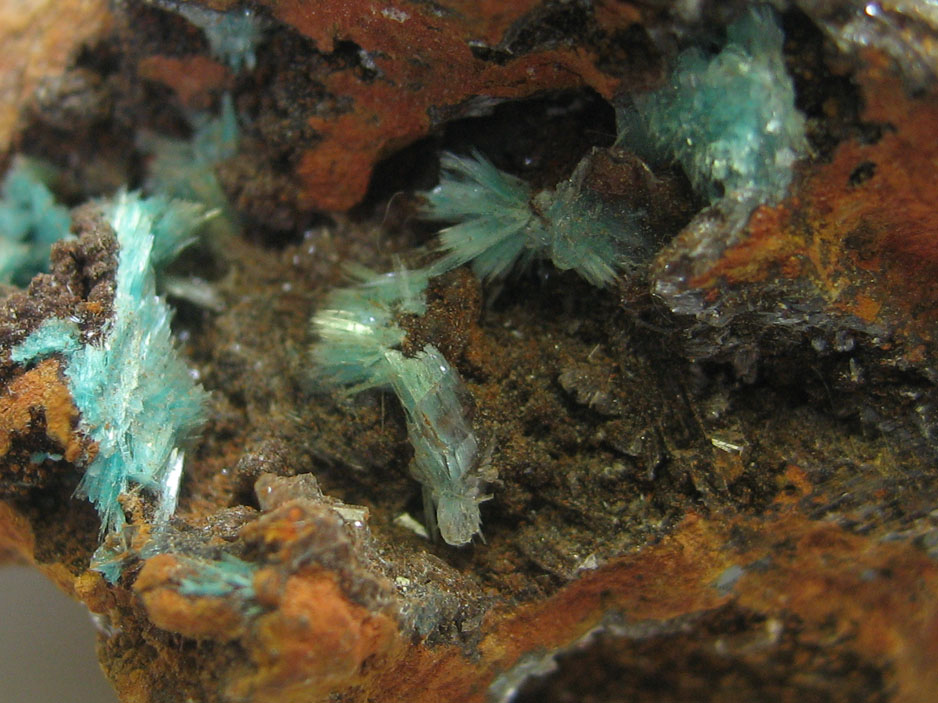 This is a macro image of aurichalcite, from the USA, which can be found on the MIROFOSS database.