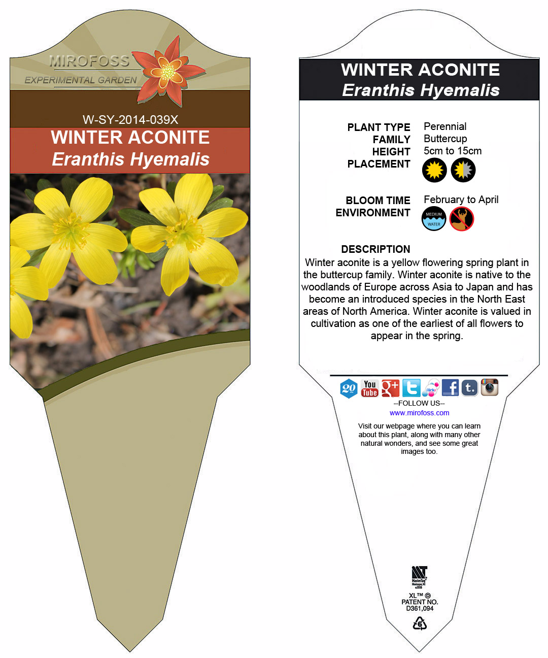 Winter Aconite Mirofoss